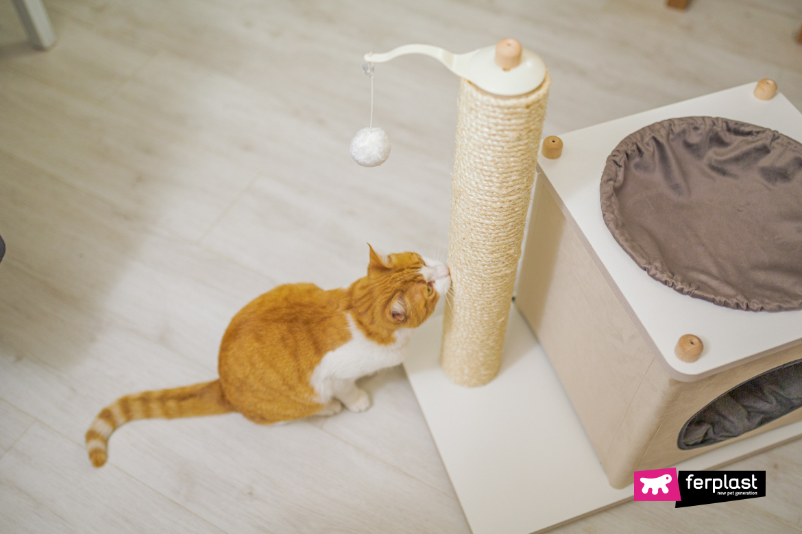Red cat is playing with Yoshi scratching post by Ferplast