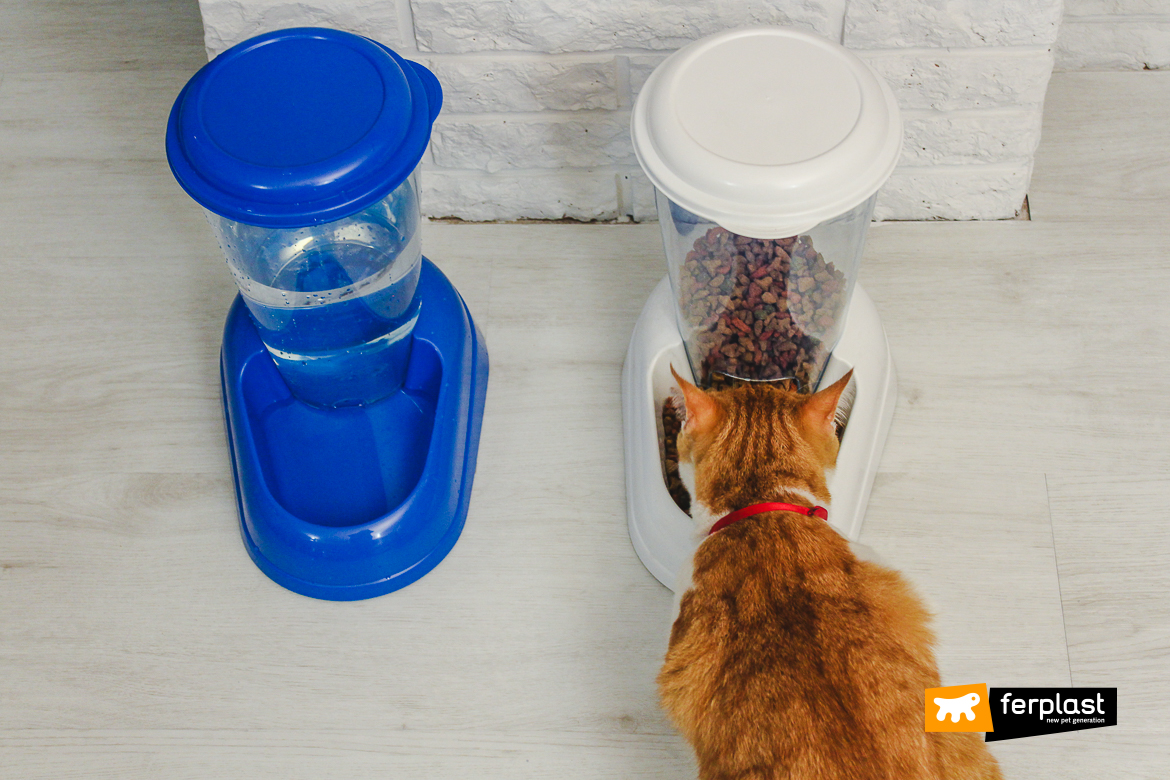 Dispenser di crocchette o acqua per cani e gatti Azimut - Ferplast —