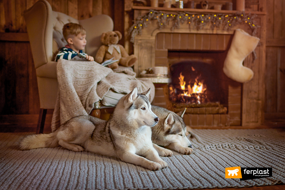 Bingxue per regali di Natale 34 x 17 cm vacanze con stampa 3D cane gatti feste Calze natalizie per cani calze di Natale casa per feste in famiglia grandi zampe 