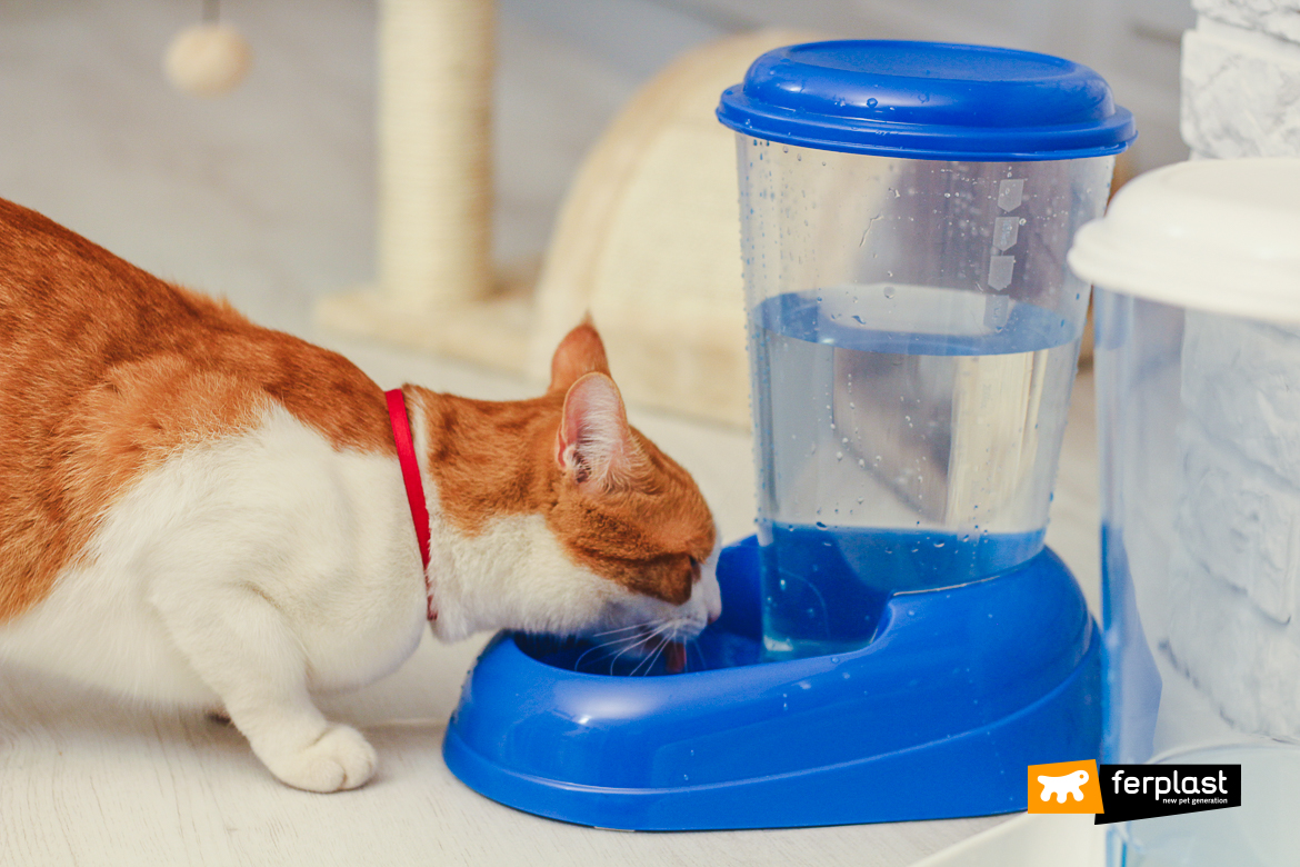 Dispenser di crocchette o acqua per cani e gatti Azimut - Ferplast