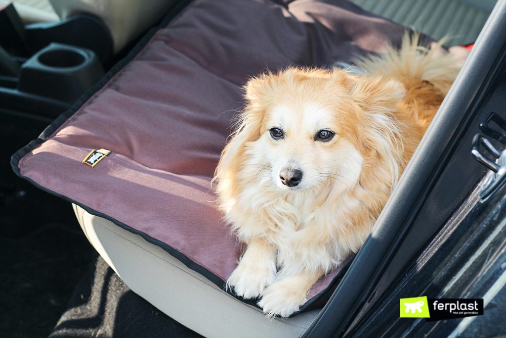 AUTOREISEN MIT HUND SICHERHEITSGURT ODER TRANSPORTBOX? LOVE FERPLAST