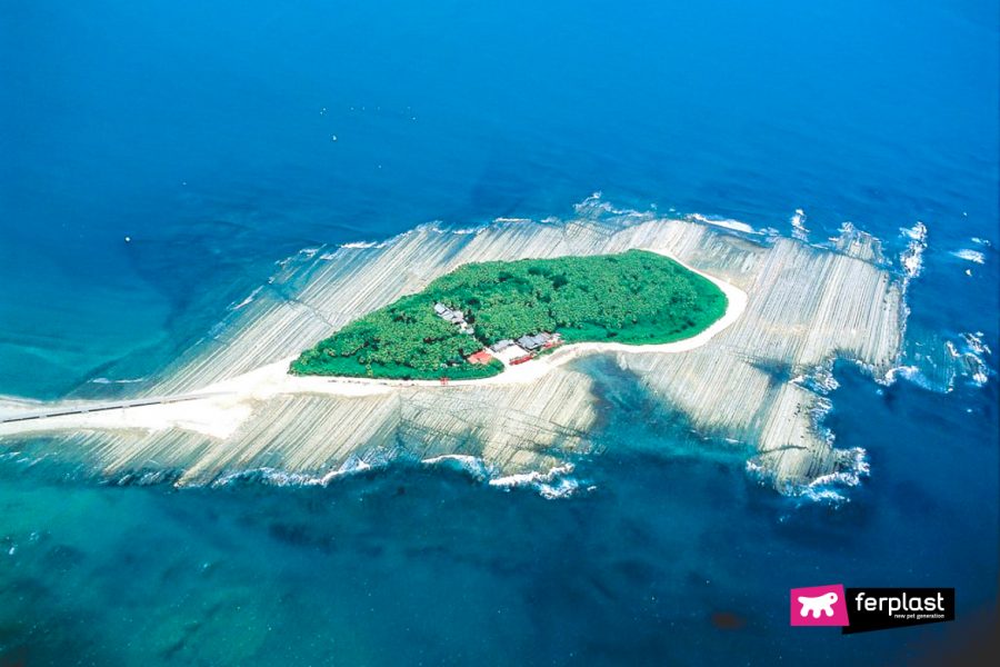 Cat Islands Cat Islands You Can Visit Aroud The World