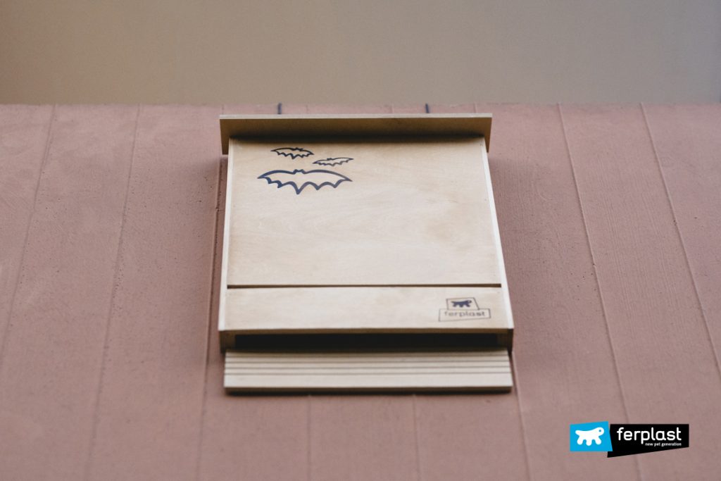 How And Why Should You Lure Bats To Your Garden