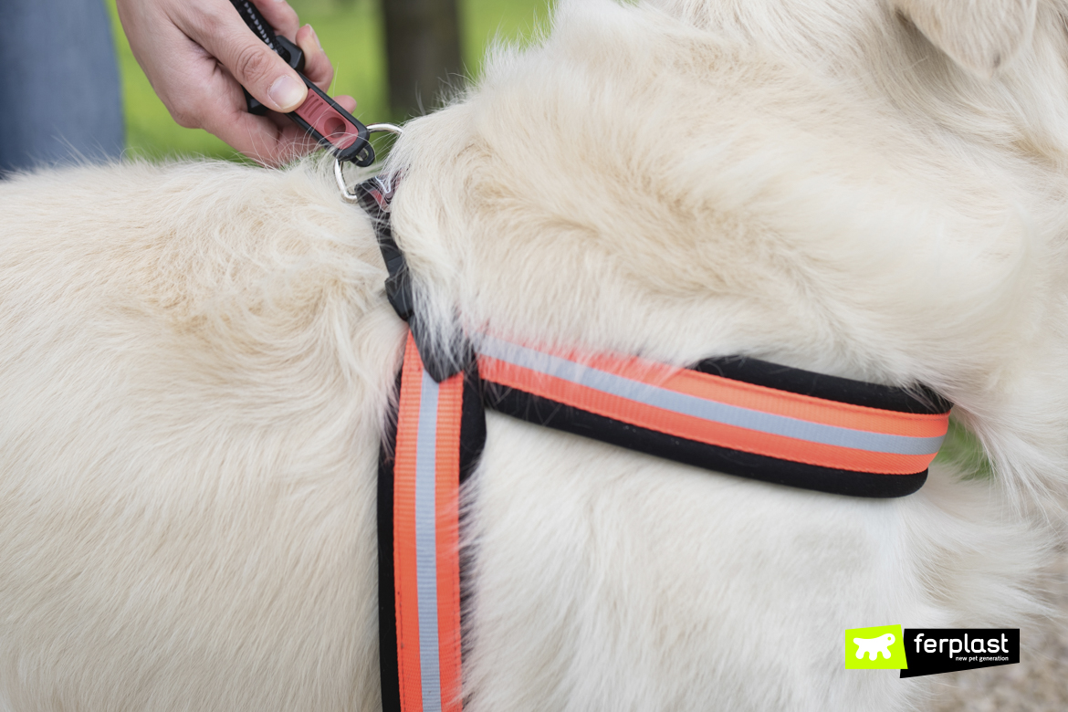 Dettaglio pettorina per cani Agila Reflex