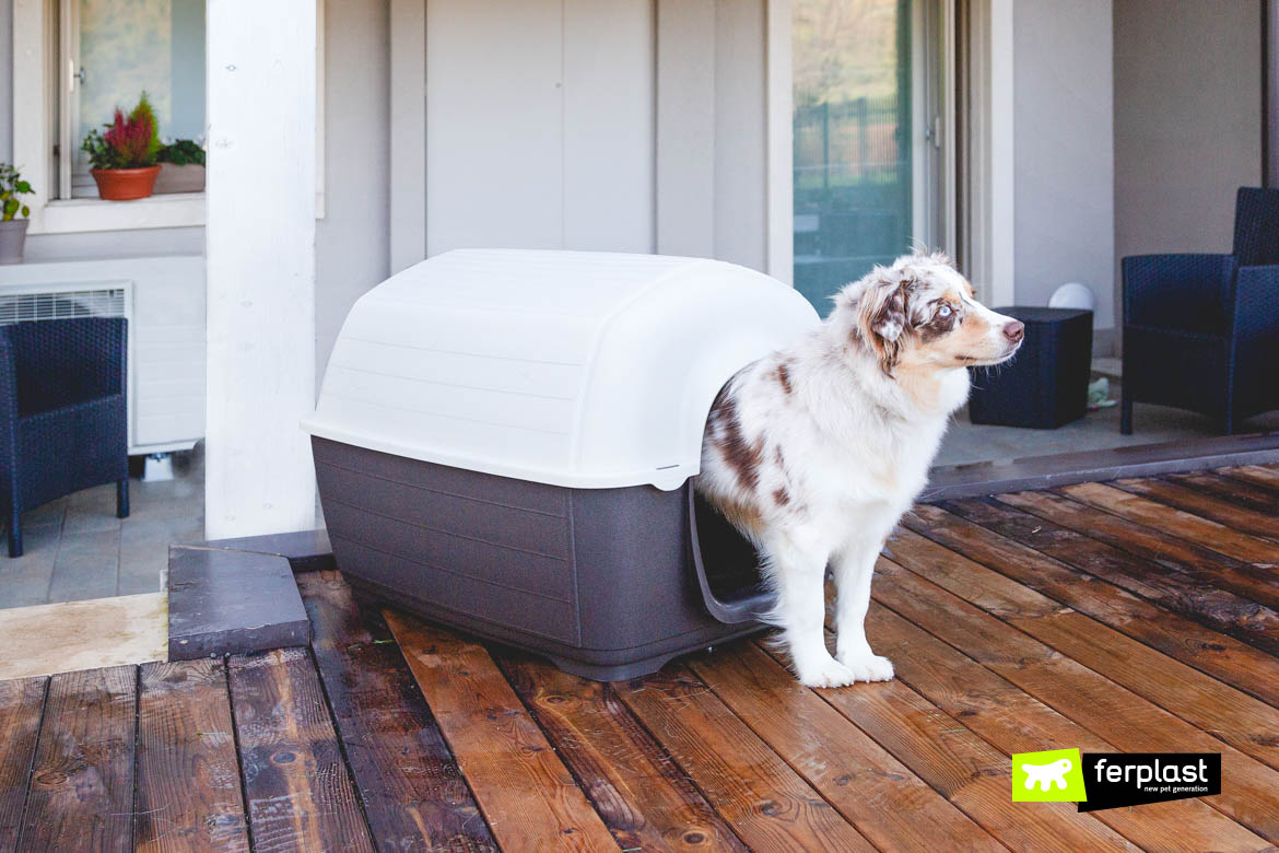 How To Choose The Perfect Dog Kennel For The Garden