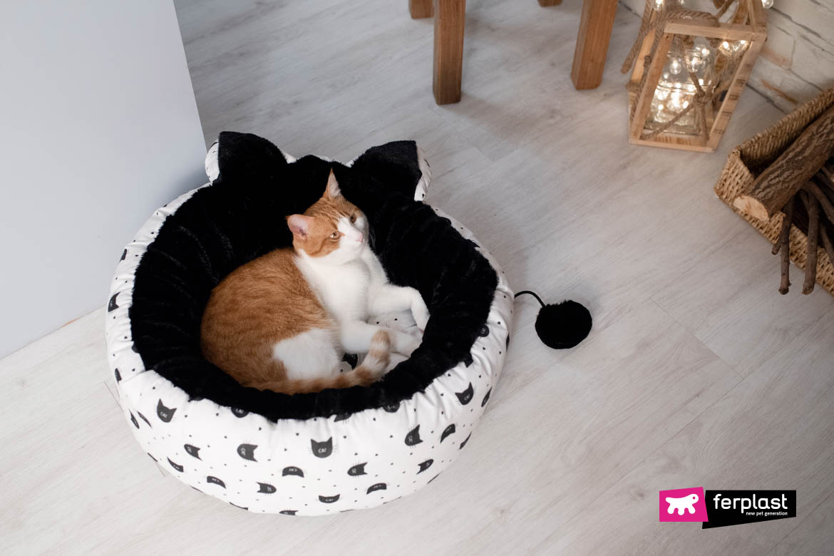 Cat cushion for sales cats