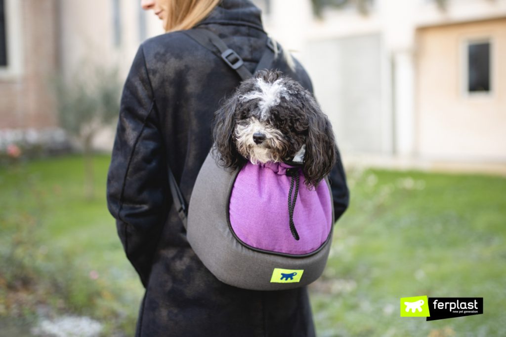 The Best Fabric Bags To Carry Small Dogs
