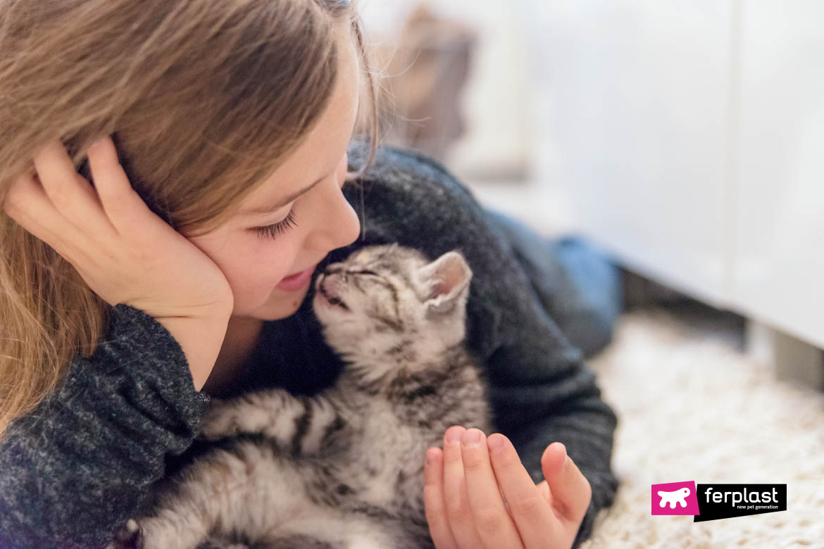Do Cats Like Kisses How Does Your Cat React When You Give Him A Kiss