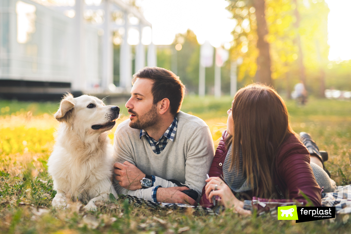 Il tuo cane è spaventato dai rumori forti? ThunderShirt può aiutarlo nella  gestione della paura. 