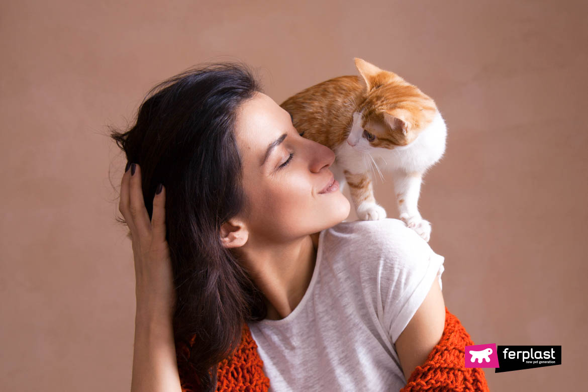 Les Chats Aiment Les Bisous Habitudes Et Passions Des Felins