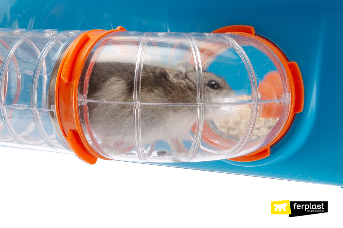 Cage pour hamster gabbie e accessori Animali Piccoli animali Habitat 
