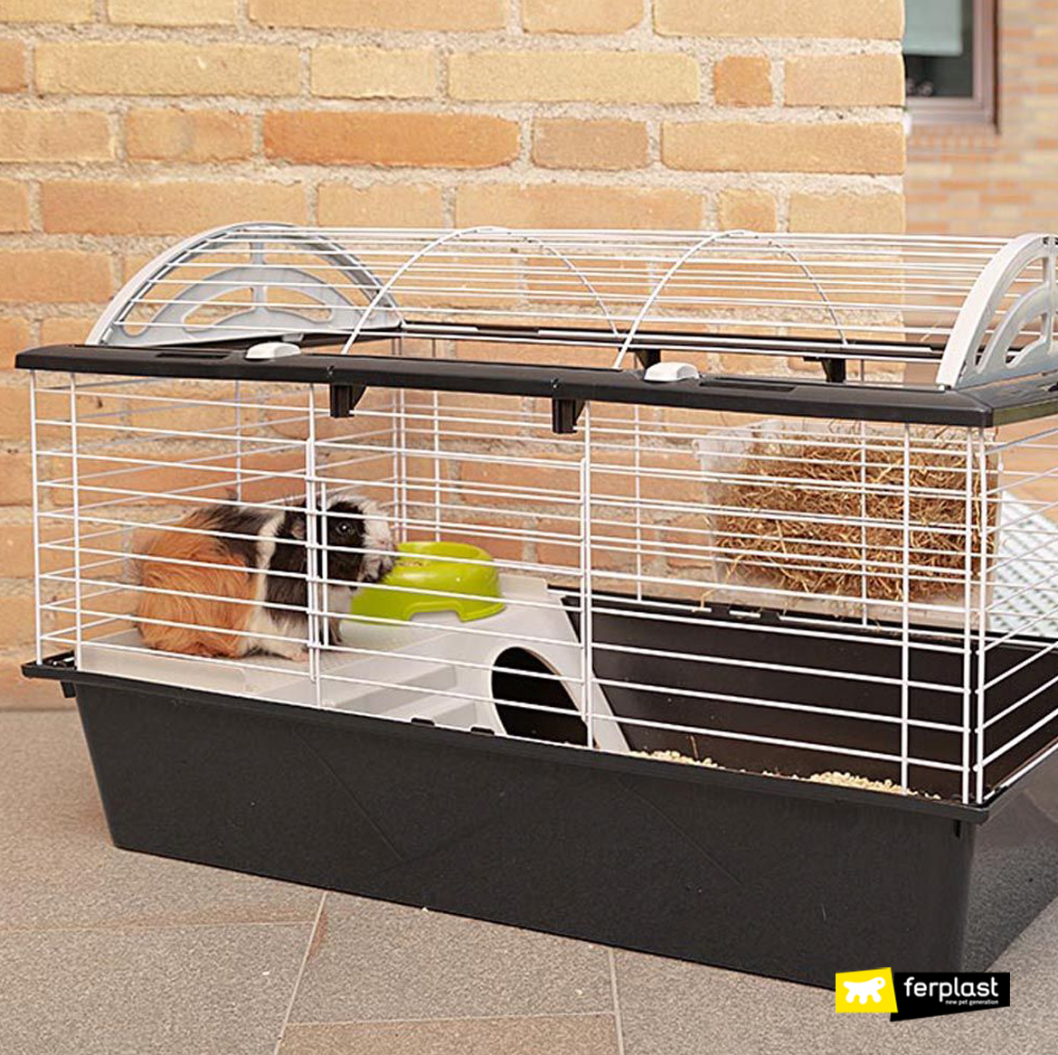 ferplast guinea pig cage