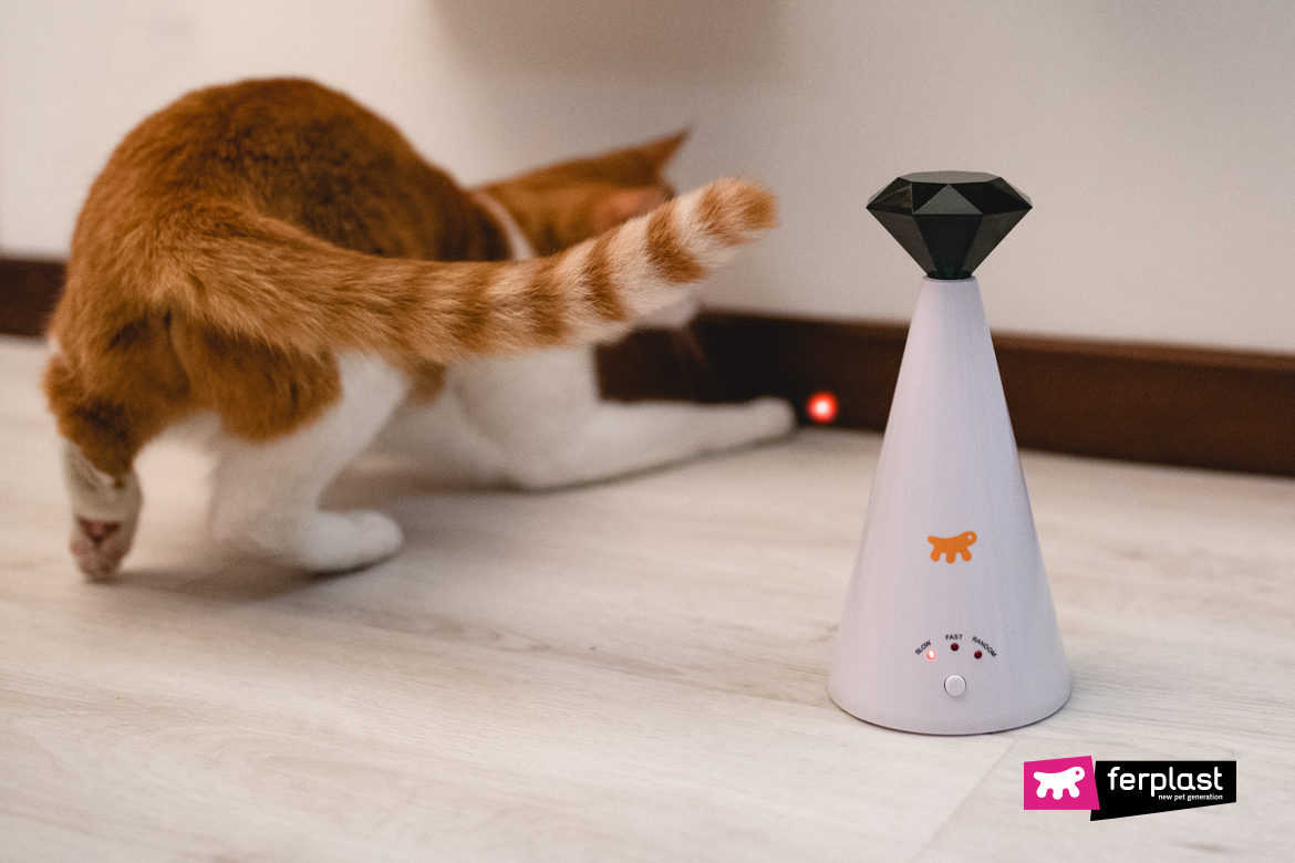 Mental stimulation toys for cats - LOVE FERPLAST