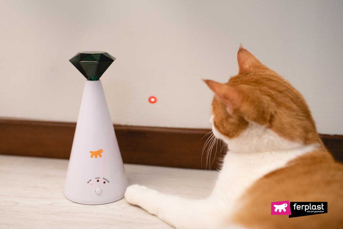 Mental stimulation toys for cats - LOVE FERPLAST