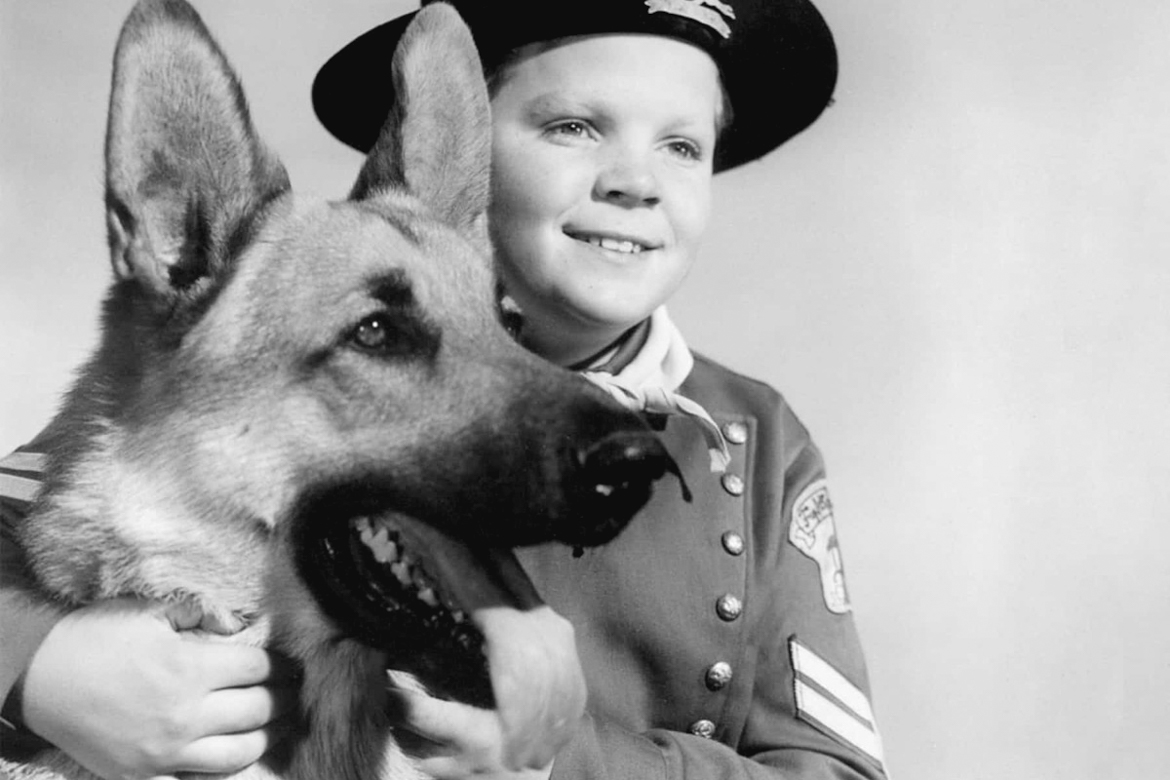 qui est le chien acteur le plus celebre Rin Tin Tin