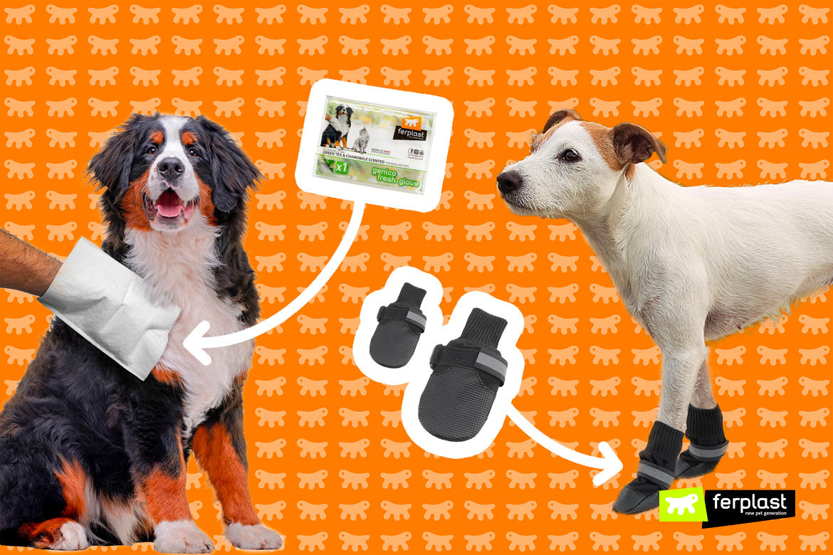 Lava zampe per cani. Recensione e consigli di utilizzo - Find the