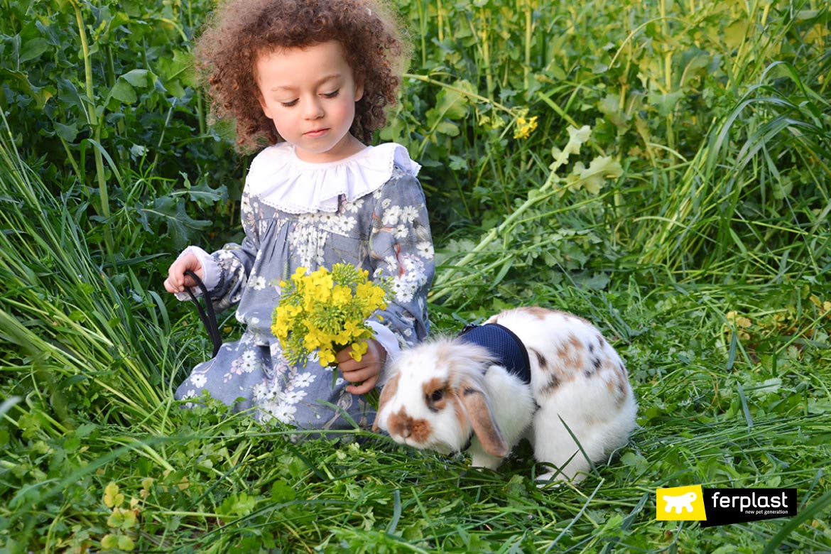 exercice maigre-sain-sans-lapin