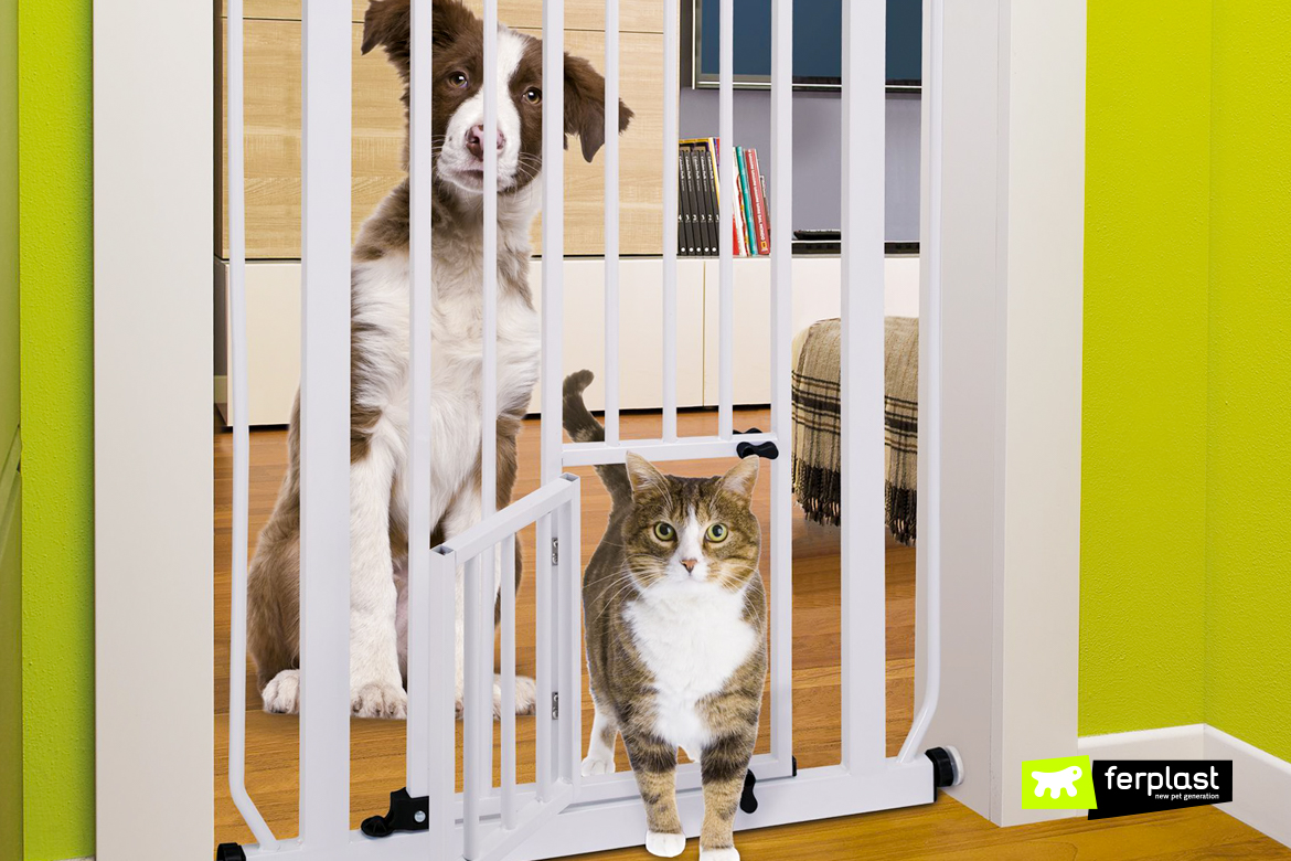 pet gate ferplast как это работает