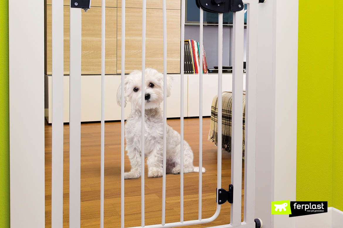 pet gate ferplast prix