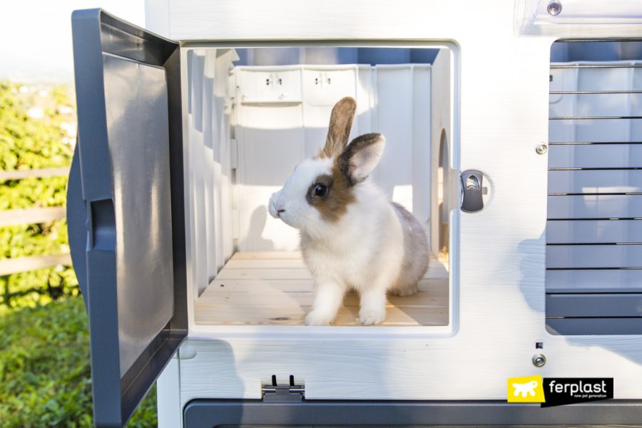 The Best Plastic Hutches for Rabbits made by Ferplast