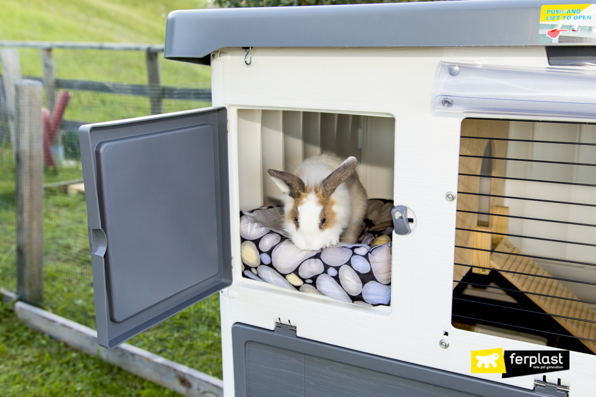 Large plastic 2024 rabbit hutch