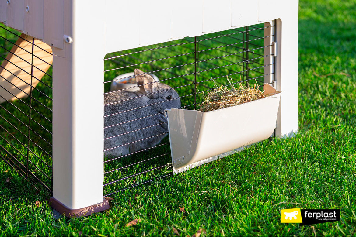 Perspex rabbit outlet hutch