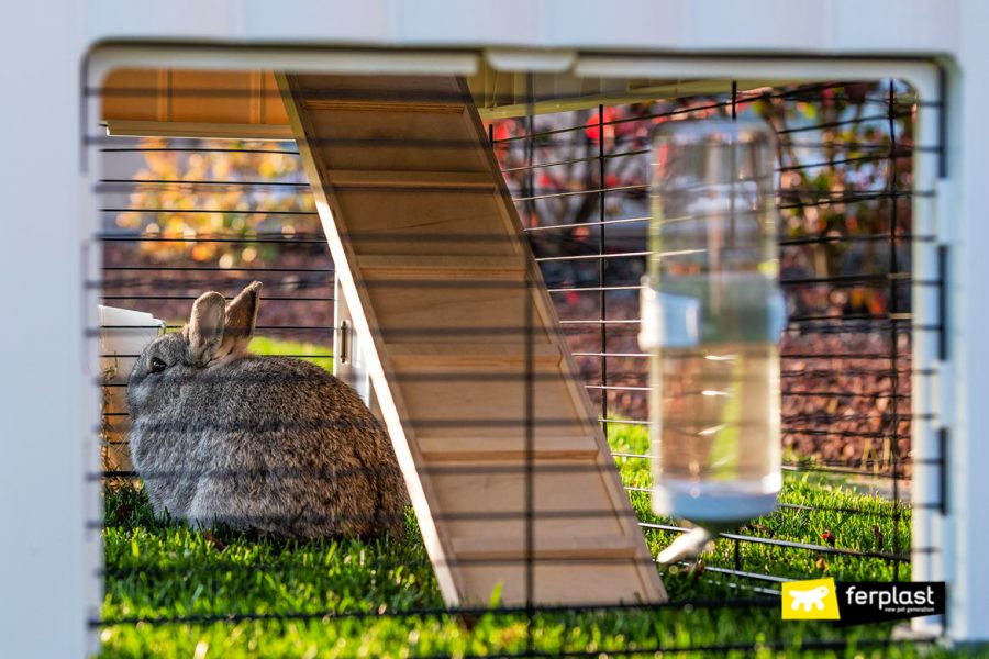 The Best Plastic Hutches for Rabbits made by Ferplast