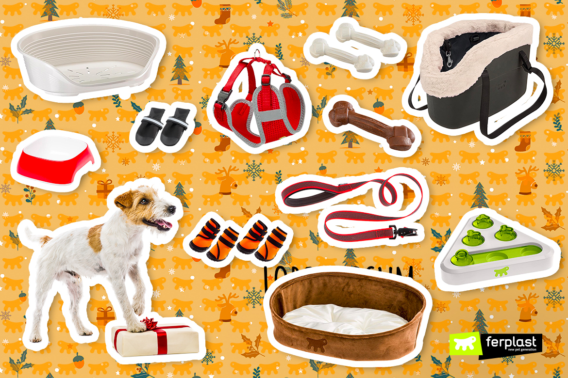 Christmas Gifts For Dogs Under 30 Euro - Ferplast's list