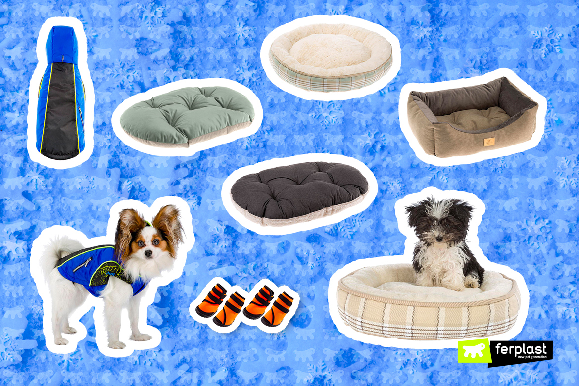 Quali Accessori Servono Al Cane d'Inverno? La Guida di Ferplast