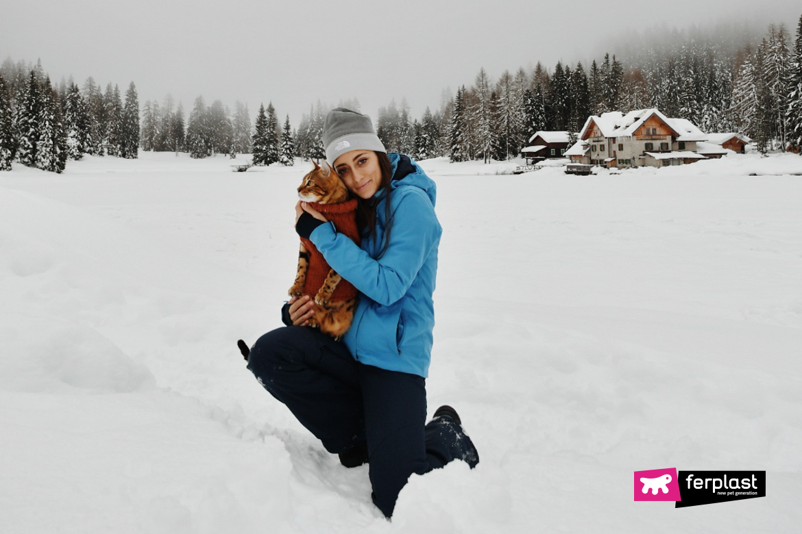 Gato-de-bengala-y-su-humana-en-la-nieve