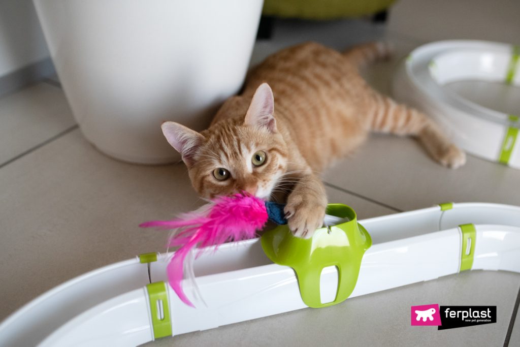 Best toys clearance for lazy cats