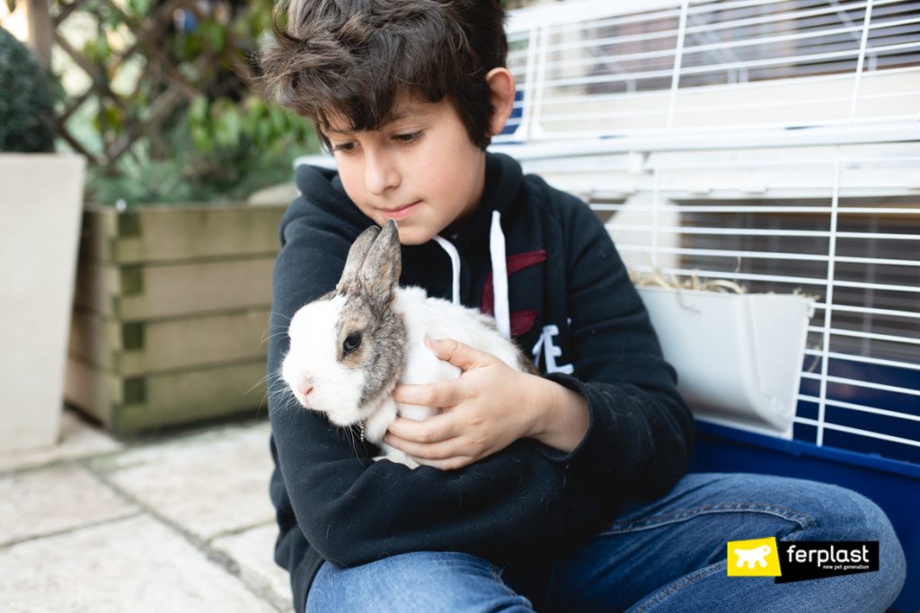 Why Do Rabbits Play Dead? How To Understand Their Behaviour