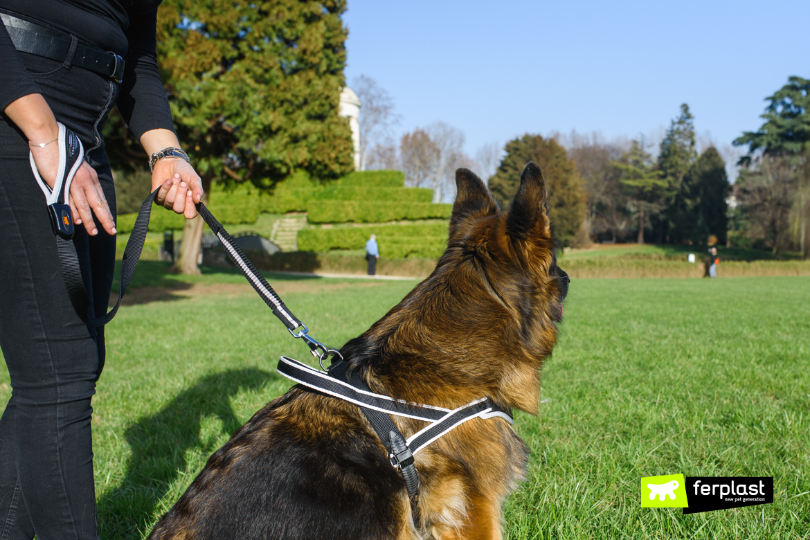 Cane a passeggio con guinzaglio singolo Ergocomfort di Ferplast