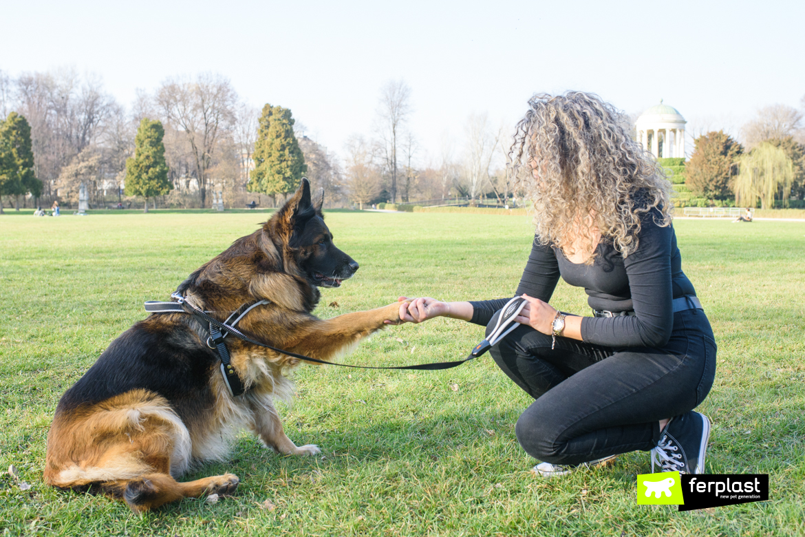 Proprietaria educa il cane singolarmente prima di portarlo a passeggio con guinzaglio Ferplast