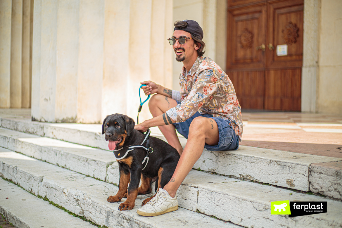 Cane in vacanza con padrone indossa accessori Ferplast