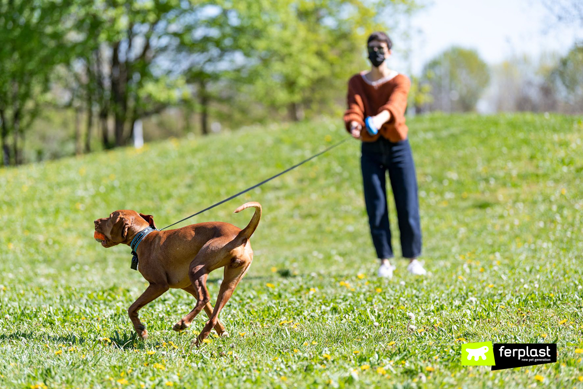 Cane a passeggio con il guinzaglio Flippy One di Ferplast per tenersi in forma