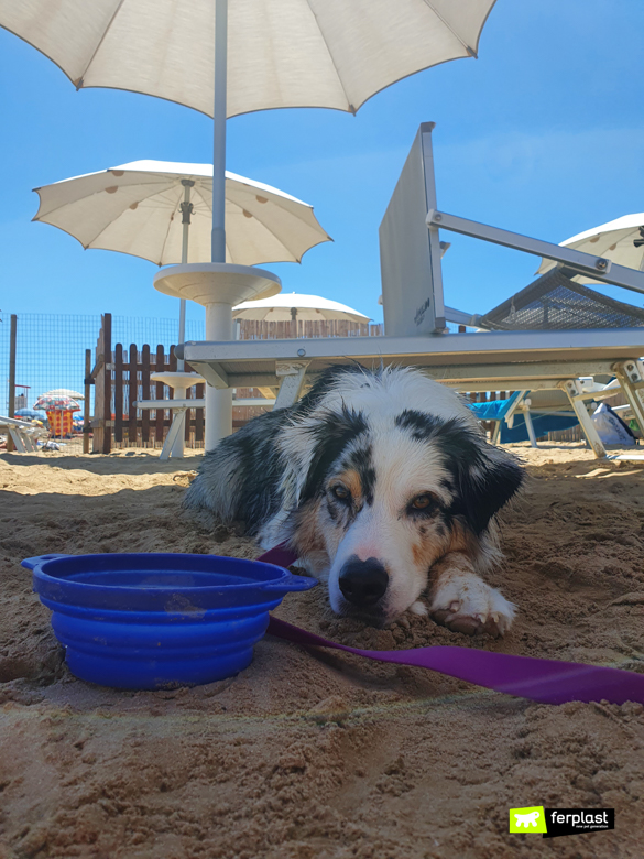 Happy al mare sotto l'ombra per proteggersi dal caldo