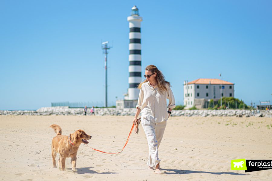 Cão e dono caminhando na praia