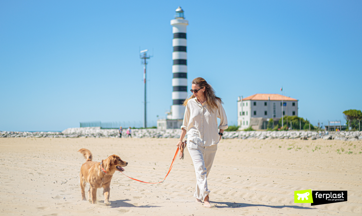 Cão e dono caminhando na praia