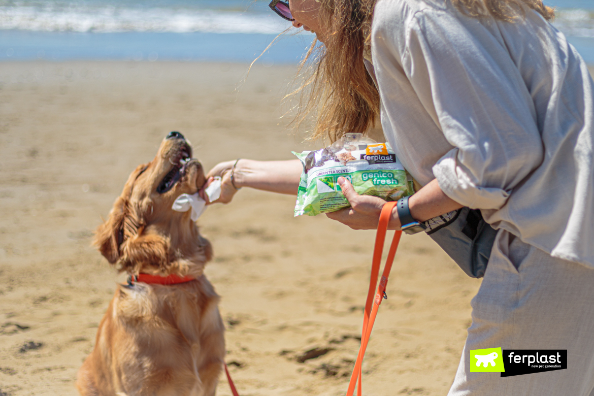 Genico-Fresh-by-Ferplast-para-o-asseio-de-cães-à-beira-mar