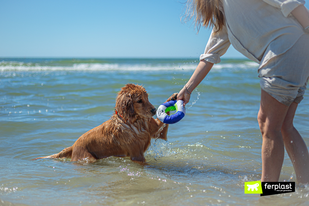 Cane gioca in acqua con il salvagente di Ferplast