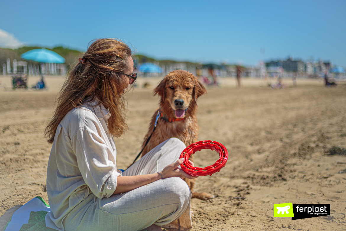 Smile, gioco da portare al mare con il cane