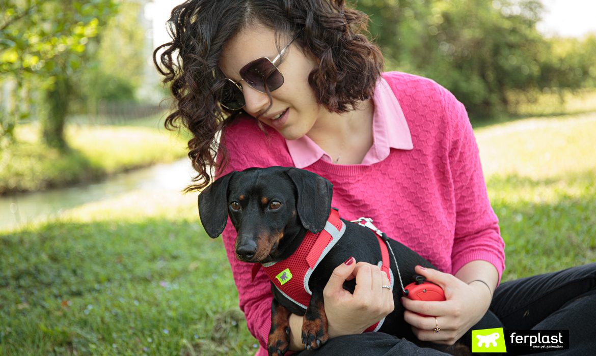 Cane di piccola taglia con la padrona