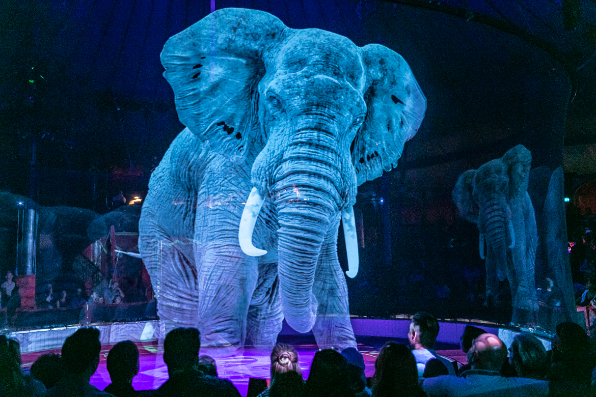 Circus Roncalli, show com animais virtuais