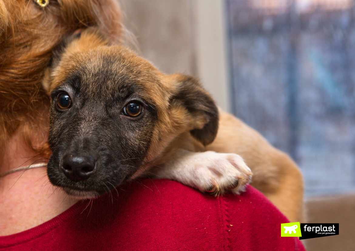 New pet parent with her puppy adopted in a refuge