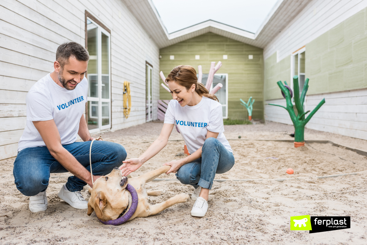 Dois voluntários com um cão no abrigo antes da adoção