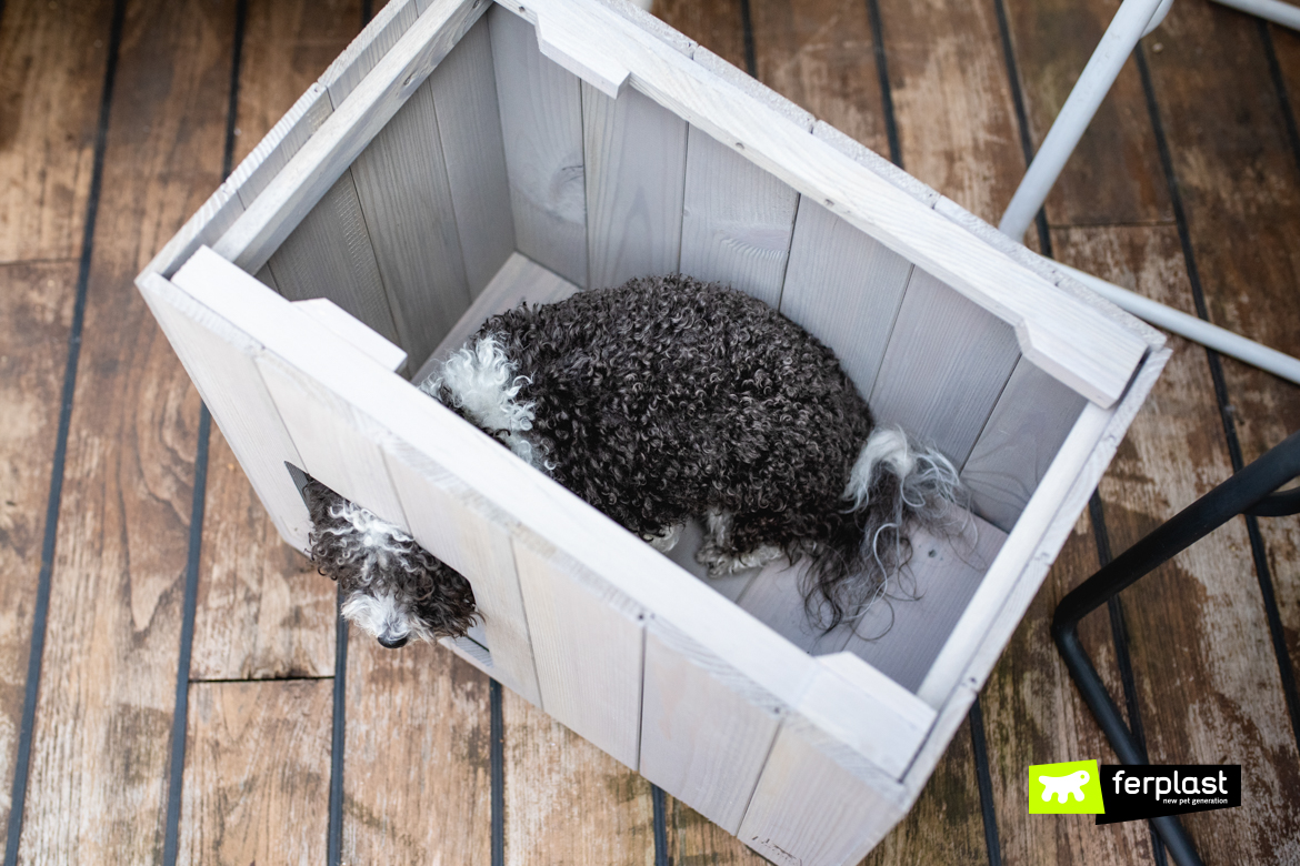 Cane nella cuccia da esterno di Ferplast, dettaglio