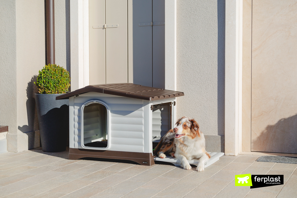 Dog in DogVilla, plastic outdoor kennel by Ferplast