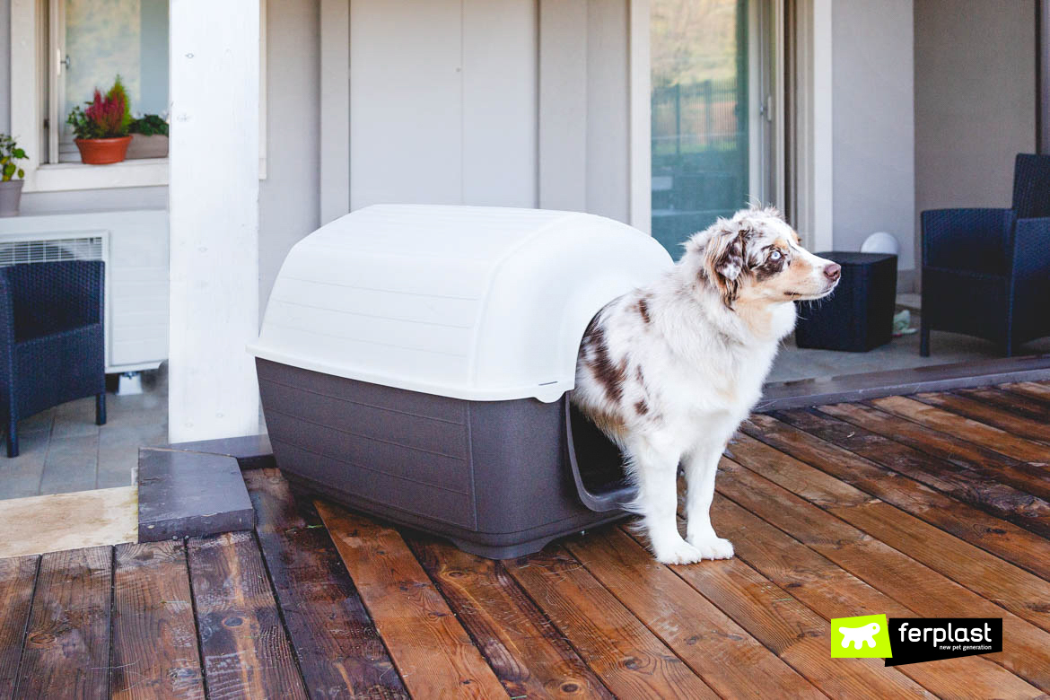 Dog in Kenny, plastic outdoor kennel by Ferplast