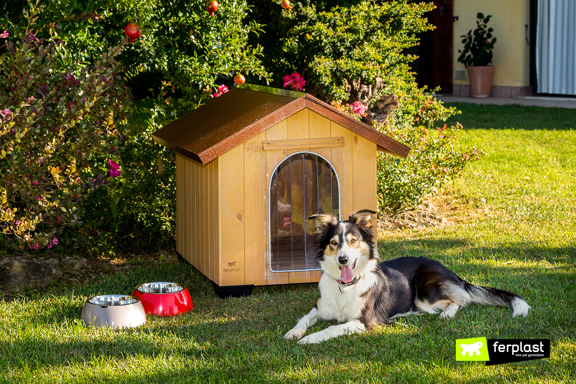 Cane davanti alla cuccia da esterno in legno Domus di Ferplast